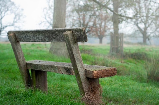 Photo bench in the park