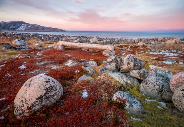 Panchina sulla riva del mare di barents. la superficie della spiaggia sull'oceano settentrionale è ricoperta da grandi pietre rotonde levigate di colore grigio di diverse dimensioni. teriberka.