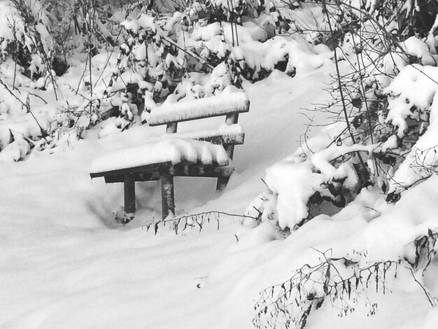 Bench on snowcapped mountain