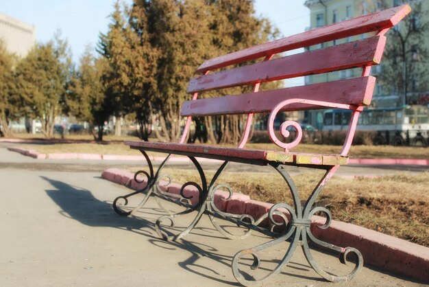 Foto panchina nel parco primaverile