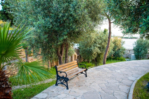 A bench on a stone path on a summer and sunny day