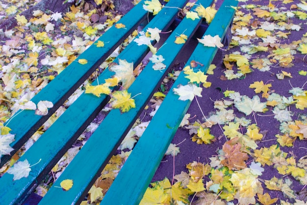 A bench strewn with autumn leaves gold autumn