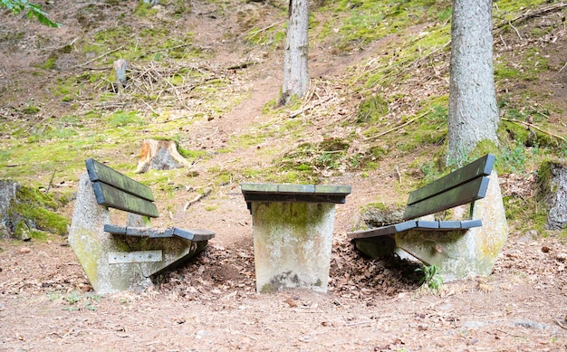 A bench and table in the forest idyllic outdoor picnic rest zone in the woodland