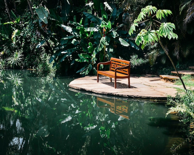 Bench in tropical florest