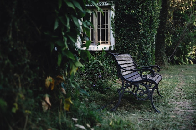 Bench and window with leaves texture at English park