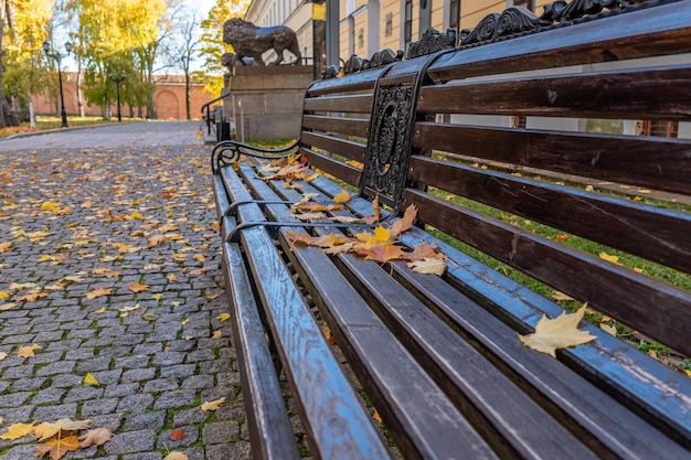 A bench with leaves on it and a lion statue in the background