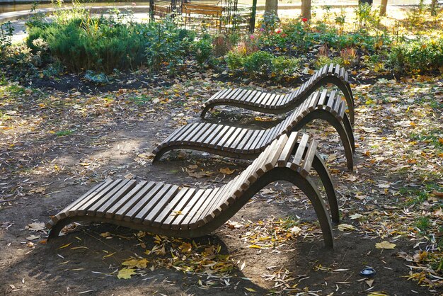 Benches in the autumn park and fallen leaves