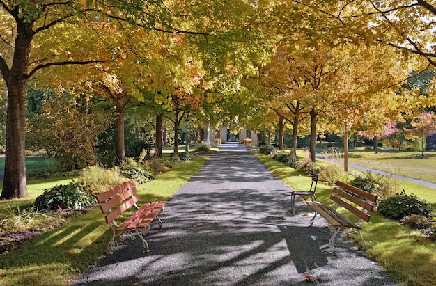 写真 秋の色とりどりの木々に囲まれた美しい公園の路地のベンチ