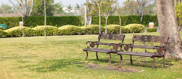 Benches on the lawn