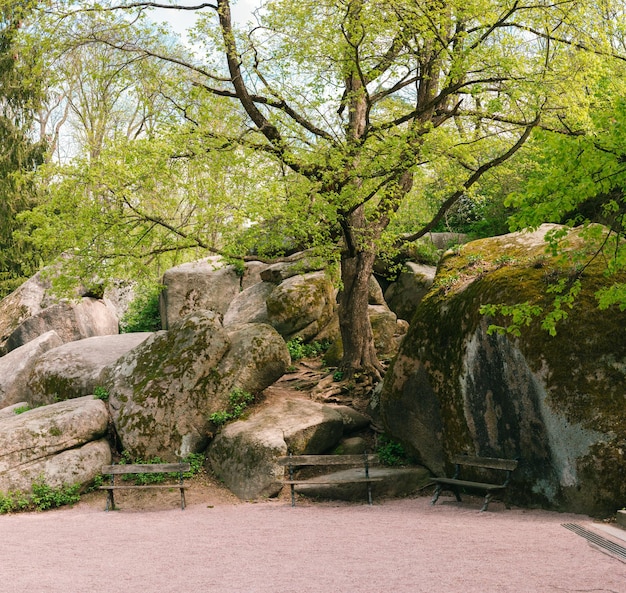 公園の巨大な石の近くのベンチ