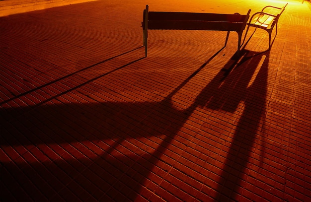 Benches and their shadows on a paved street at night