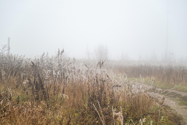 Bend of dirt road running through field with dry grass white\
with frost covered with thick fog