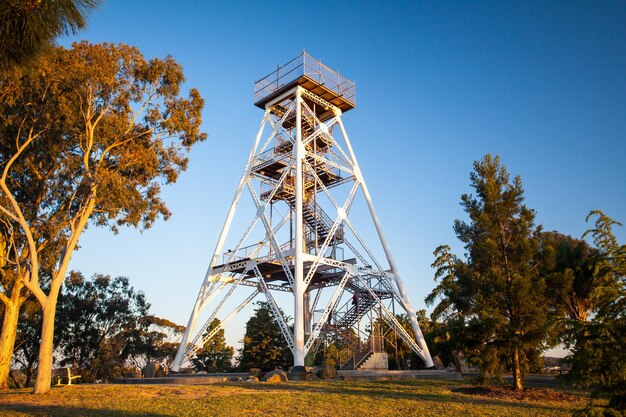 Foto bendigo lookout tower in rosalind park op een warme lenteavond