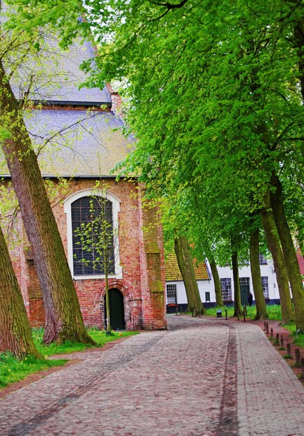 Benedictine Beguinage in the Medieval old city of Bruges, Belgium.