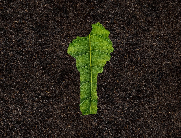 녹색 잎으로 만든 베냉 지도 개념 생태 지도 토양 배경에 녹색 잎