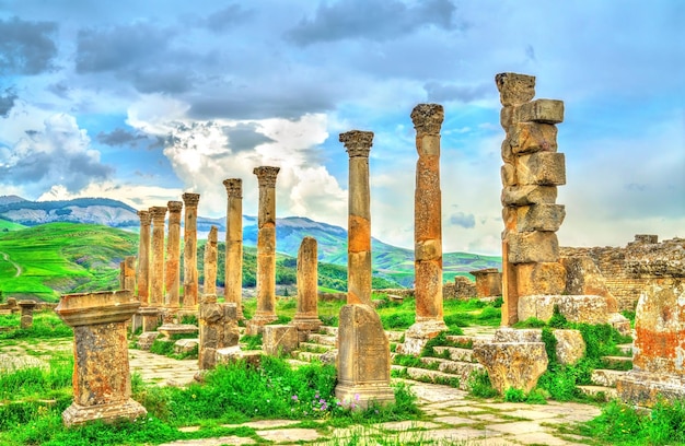 Берберо-римские руины в Джемиле в Алжире