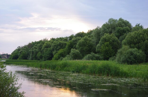 Photo bereg reki na rassvete v srednej polose rossii