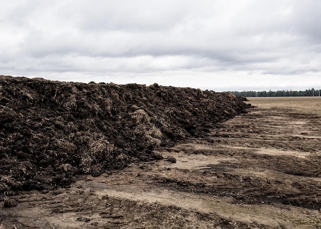 Bereid de grond voor op het planten Organische meststof en bodemtextuur achtergrond bovenaanzicht