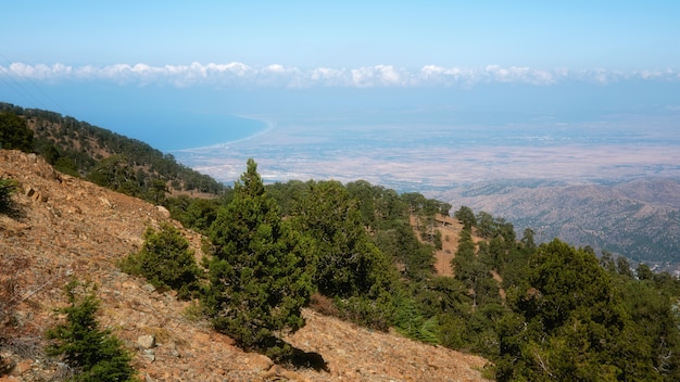 Berg boslandschap, Troodos-aardsleep, Cyprus. Uitzicht vanaf piek Olimbos