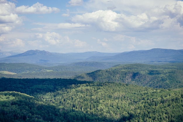 Berg boslandschap