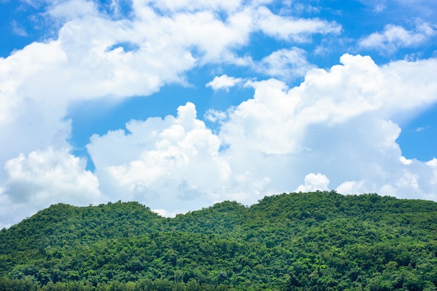 Berg en lucht blauw