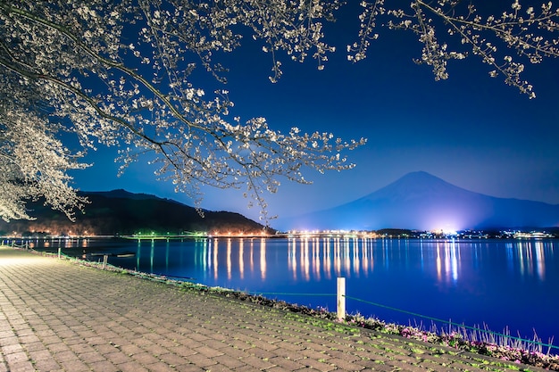 Berg Fuji en sakura van de kersenbloesem in lentetijd