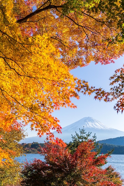 Berg Fuji in het herfstseizoen