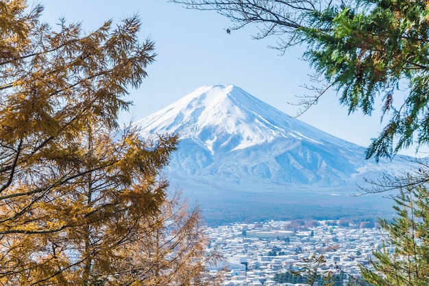 Berg Fuji San in Kawaguchiko