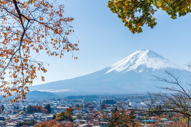 Berg Fuji