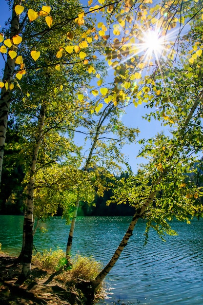 Berg herfst groen siberië meer met reflectie, berk en zonnestralen van de felle zon schijnt tussen de bomen