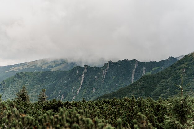 Berg Hoverla met mist en regen