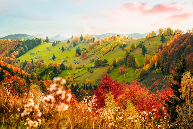 Berg in de herfst bij zonsondergang