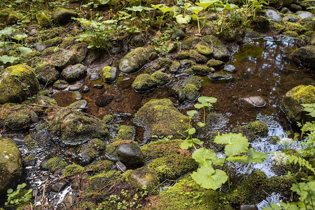 Berg natuur landschap. natuurpark