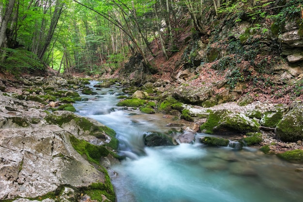 Berg rivier in de zomer. Waterstroom bij bos. Samenstelling van de natuur