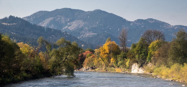 Berg rivier met herfstbladeren. Karpaten, Oekraïne. Verhovina