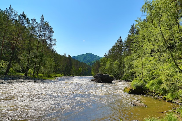 Berg rivier Sema landschap in Altai