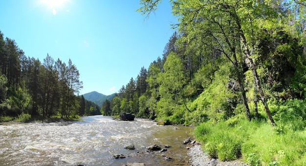 Berg rivier Sema landschap in Altai