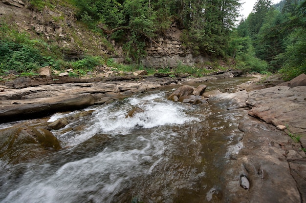 Berg rivier stroomt door bos. Prachtig Karpaten landschap met kristalhelder water in een bergrivier.