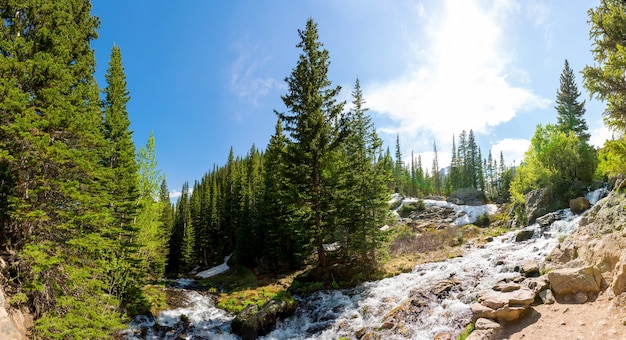 Berg rivier tegen altijdgroene bossen panorama