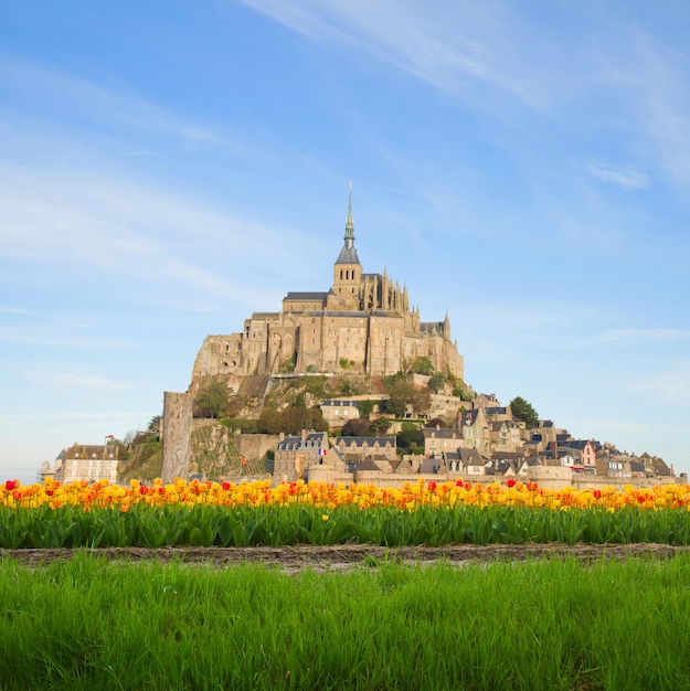 Berg van Mont Saint Michel in de lente Frankrijk