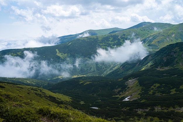 Berg wandelen. Prachtig uitzicht op de bergen. Naaldbossen en alpenweiden