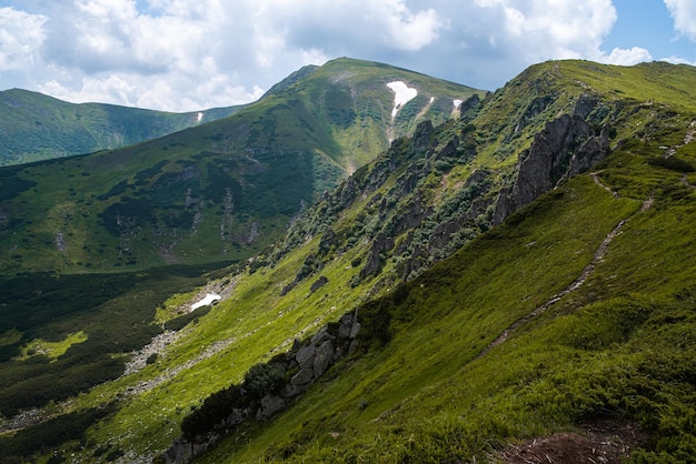 Berg wandelen. Prachtig uitzicht op de bergen. Naaldbossen en alpenweiden