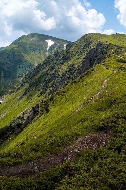 Berg wandelen. Prachtig uitzicht op de bergen. Naaldbossen en alpenweiden