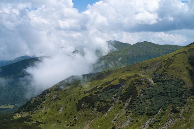 Berg wandelen. Prachtig uitzicht op de bergen. Naaldbossen en alpenweiden