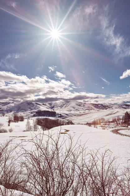 Berg Zlatibor Servië in de winter Prachtig landschap in de winter een besneeuwde berg