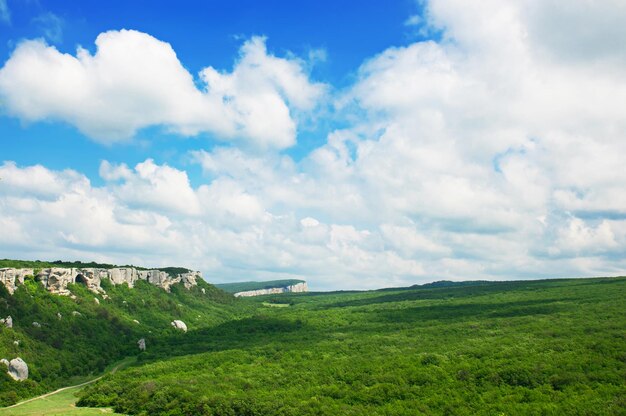 berg zomer landschap