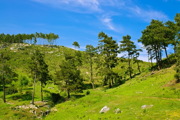 berg zomer landschap