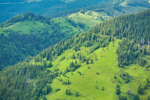 Bergachtig landschap met beboste heuvels mooie zomer