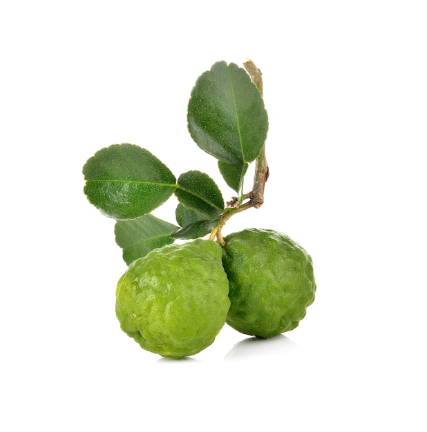 흰 벽에 Bergamot 과일