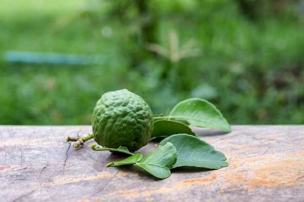 Bergamot fruit with leaf from garden on wood table